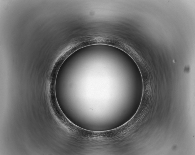 X0000099520730200805221443
