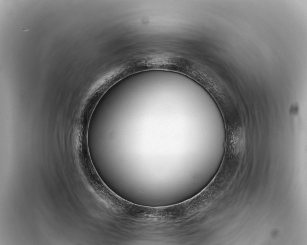 X0000099520732200805221443