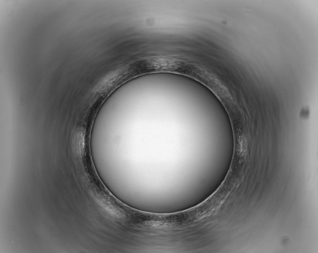 X0000099520733200805221443