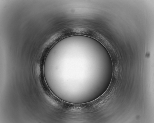 X0000099520734200805221443