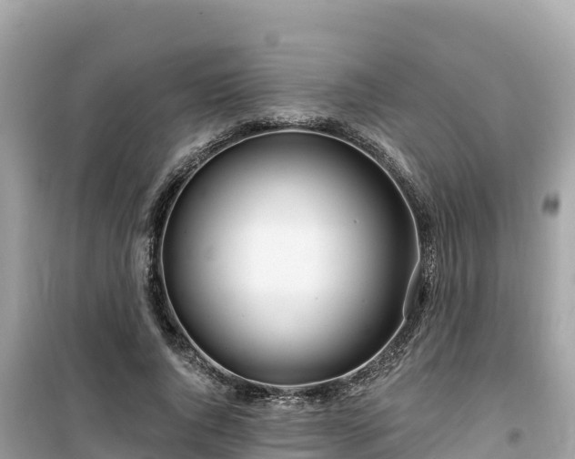X0000099520736200805221443