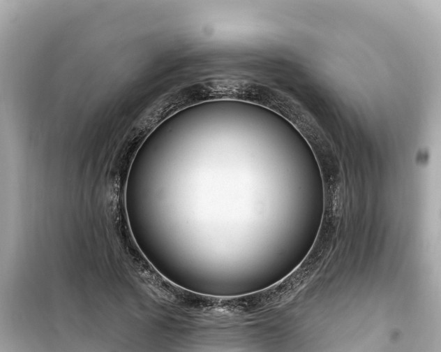 X0000099520737200805221443