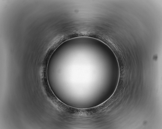 X0000099520738200805221443