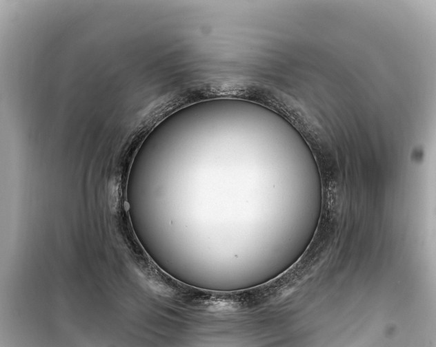 X0000099520741200805221443
