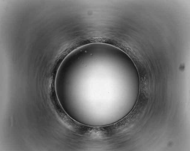 X0000099520742200805221443