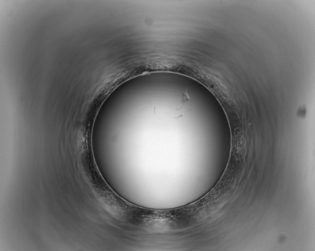 X0000099520743200805221443