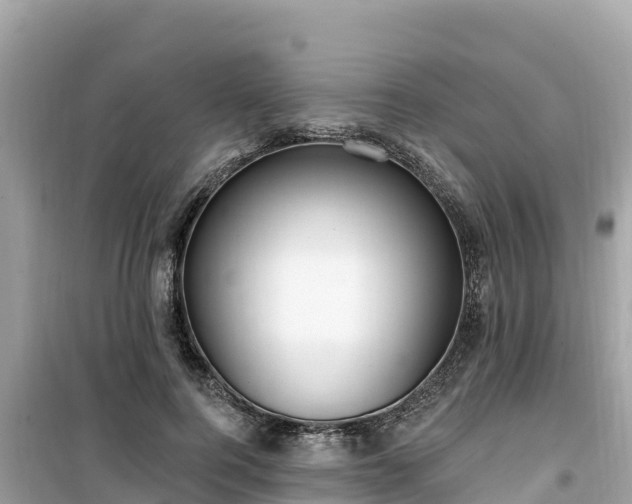 X0000099520744200805221443