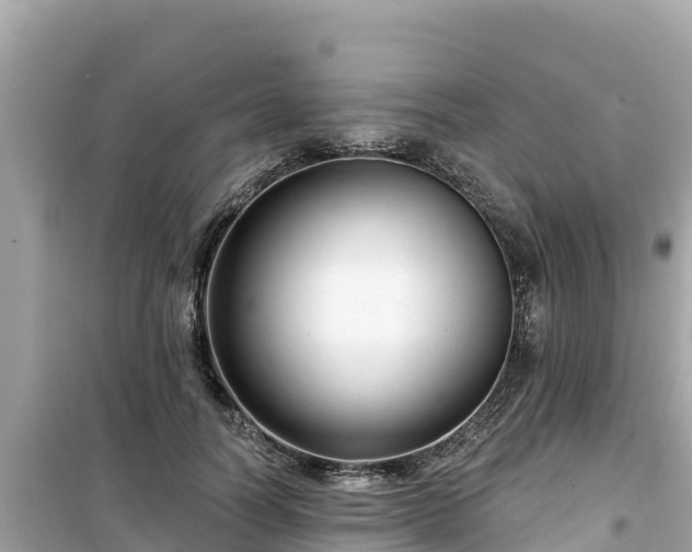 X0000099520746200805221443