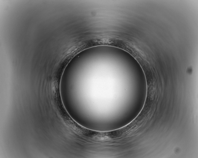 X0000099520747200805221443