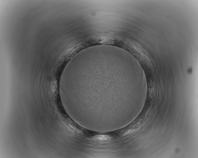 X0000099520748200805221443