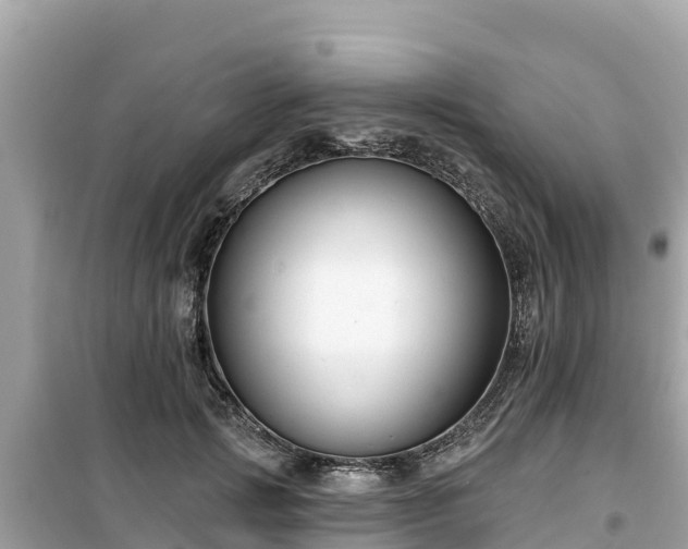 X0000099520749200805221443