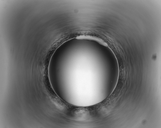 X0000099520750200805221443