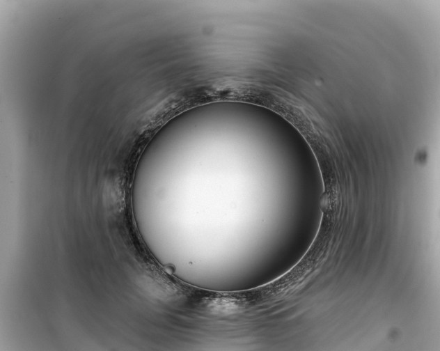 X0000099520751200805221443