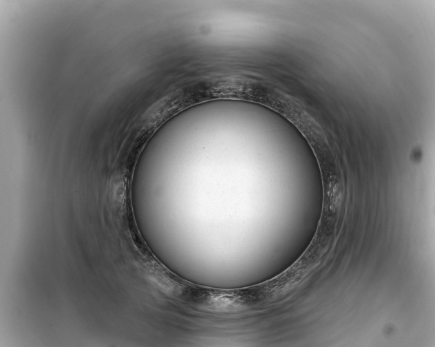 X0000099520753200805221443