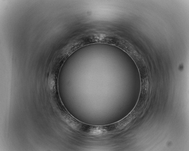 X0000099520754200805221443