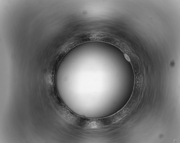 X0000099520755200805221443