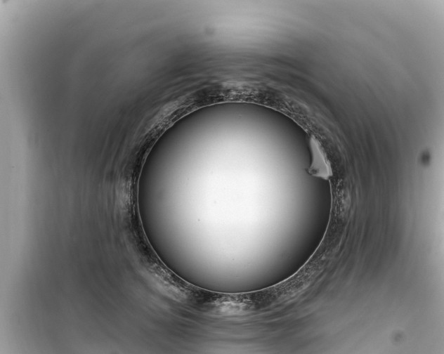 X0000099520756200805221443