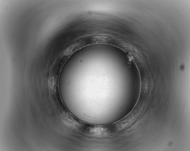 X0000099520759200805221443