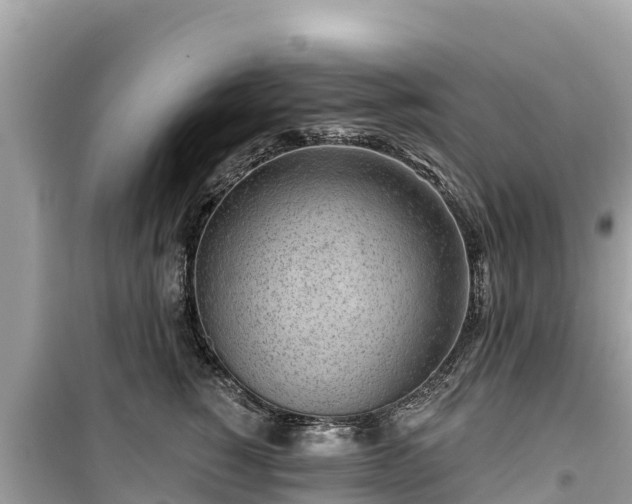 X0000099520760200805221443
