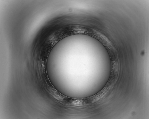 X0000099520761200805221443