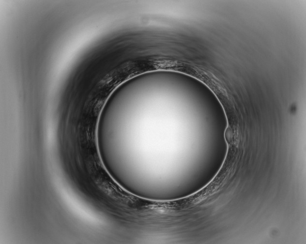 X0000099520763200805221443