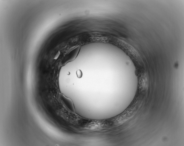 X0000099520764200805221443