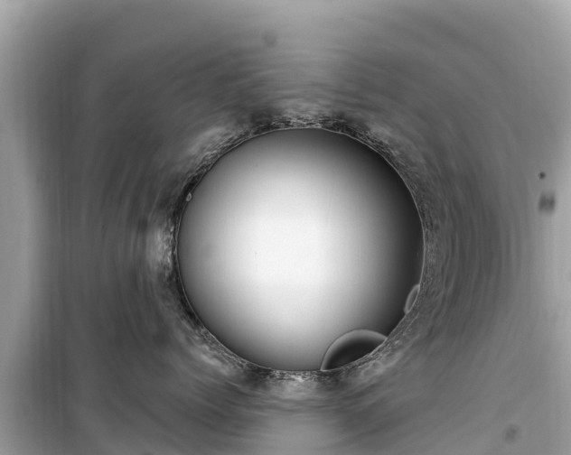 X0000099520768200805221443