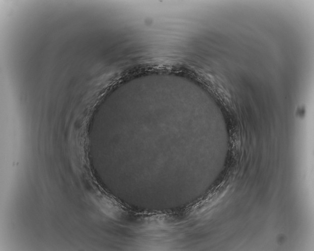 X0000099520769200805221443