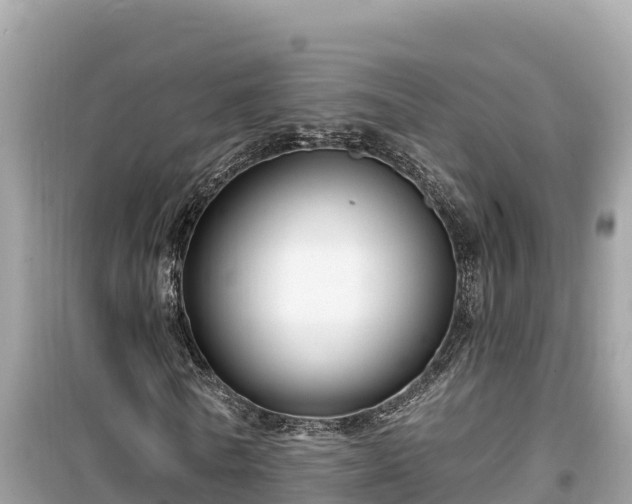 X0000099520770200805221443