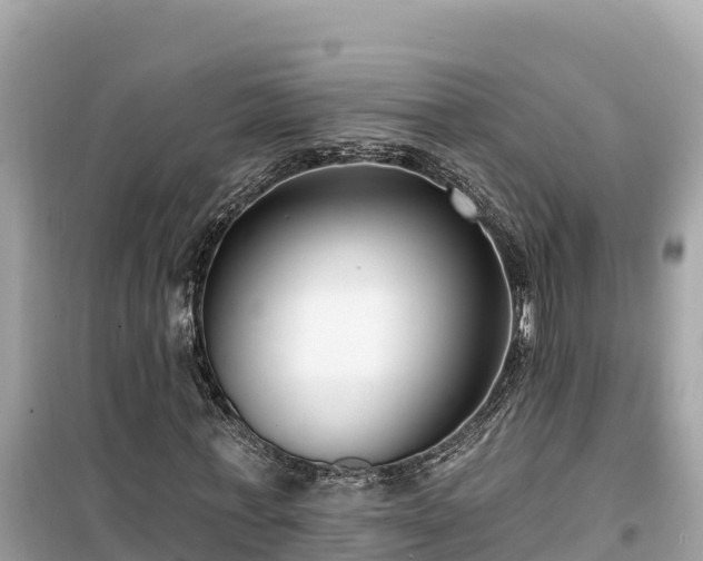 X0000099520771200805221443