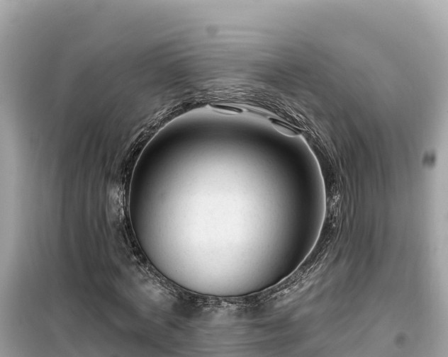 X0000099520772200805221443