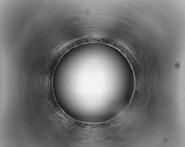 X0000099520773200805221443