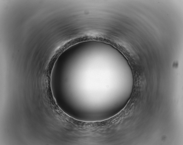 X0000099520776200805221443