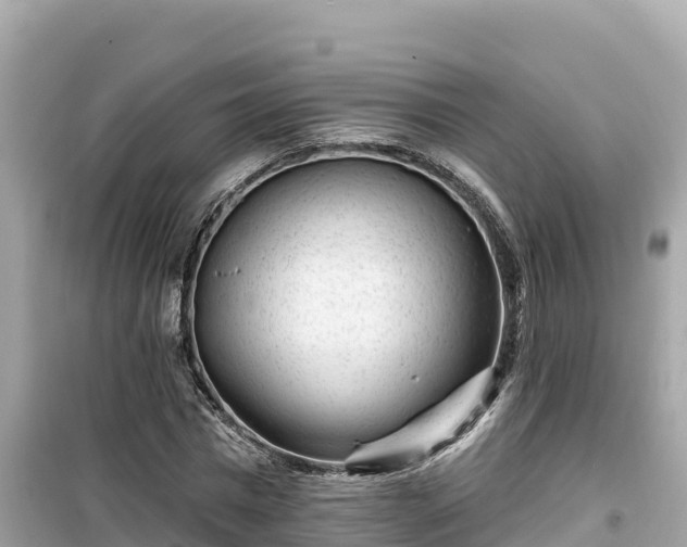 X0000099520777200805221443