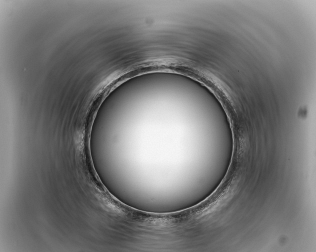 X0000099520778200805221443