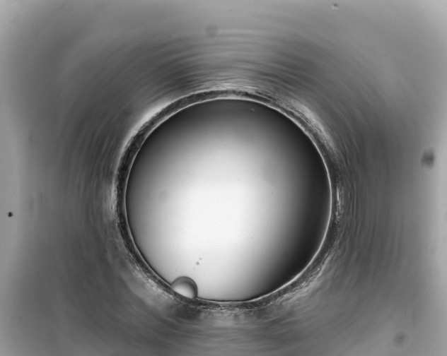X0000099520780200805221443