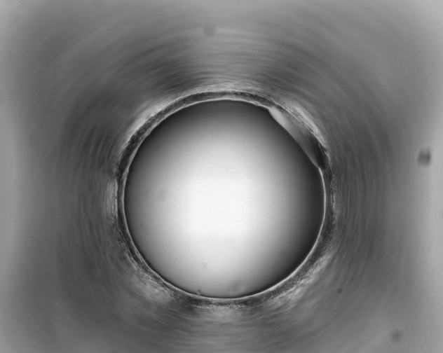 X0000099520781200805221443
