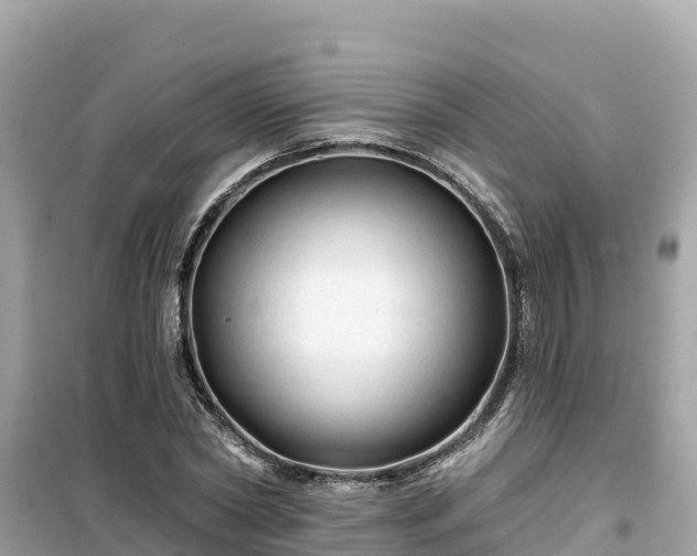 X0000099520782200805221443