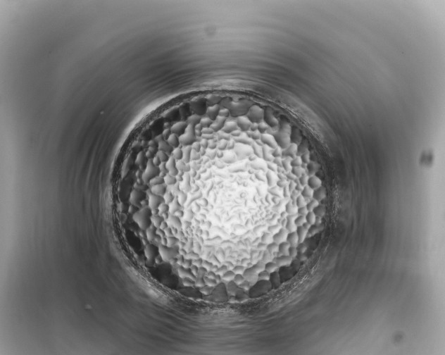X0000099520784200805221443
