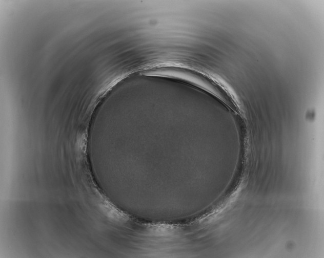 X0000099520785200805221443
