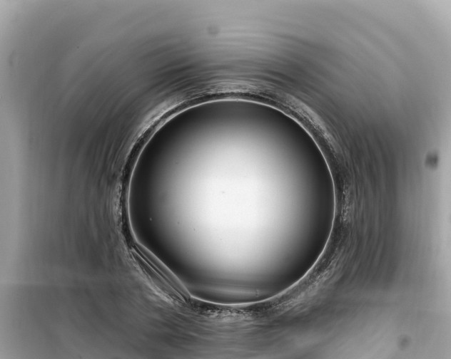 X0000099520786200805221443