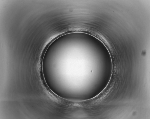 X0000099520787200805221443