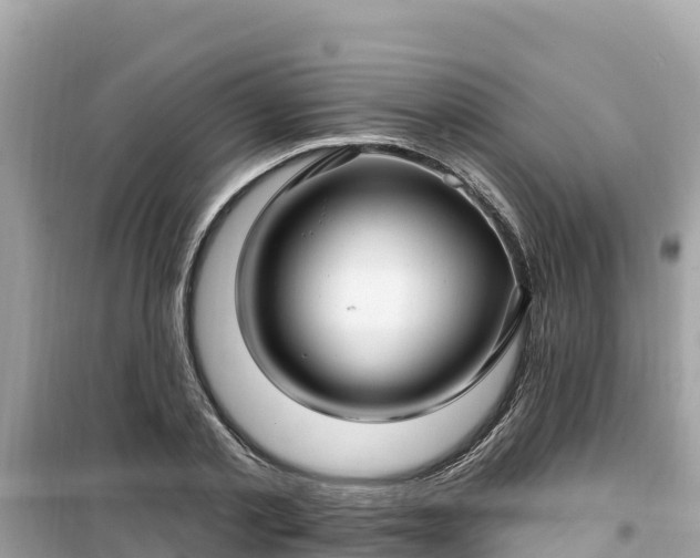 X0000099520789200805221443