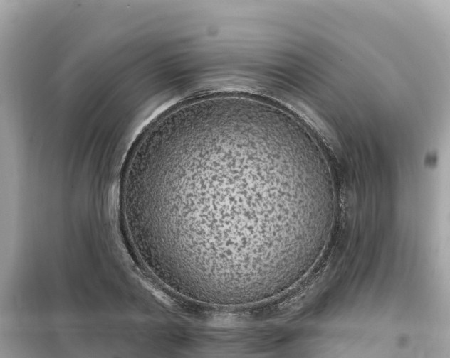 X0000099520790200805221443