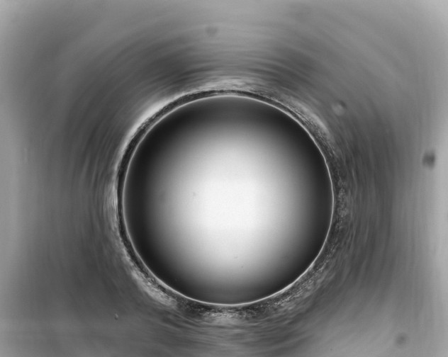 X0000099520792200805221443