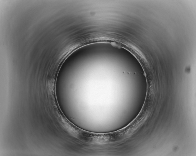 X0000099520793200805221443