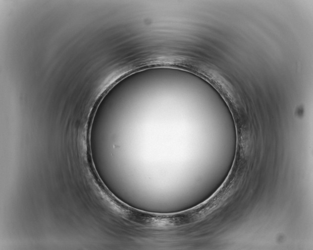 X0000099520794200805221443