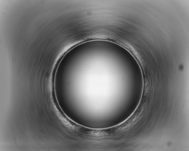 X0000099520795200805221443