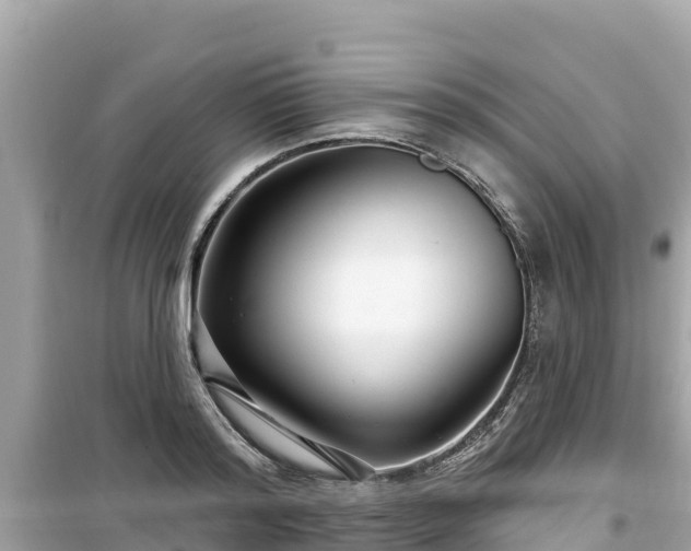 X0000099520796200805221442