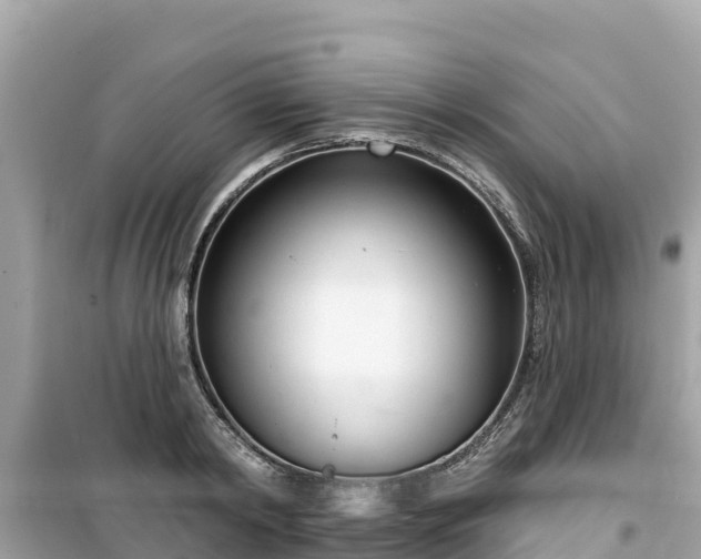 X0000099520798200805221442